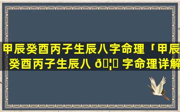 甲辰癸酉丙子生辰八字命理「甲辰癸酉丙子生辰八 🦉 字命理详解」